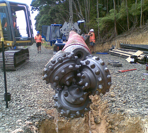 Digging Deep in the Waitakere Ranges