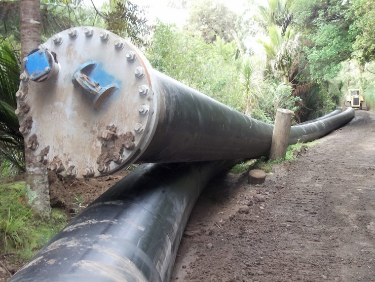 Digging Deep in the Waitakere Ranges