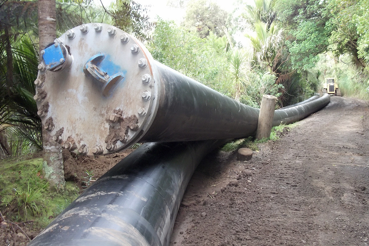 Digging Deep in the Waitakere Ranges